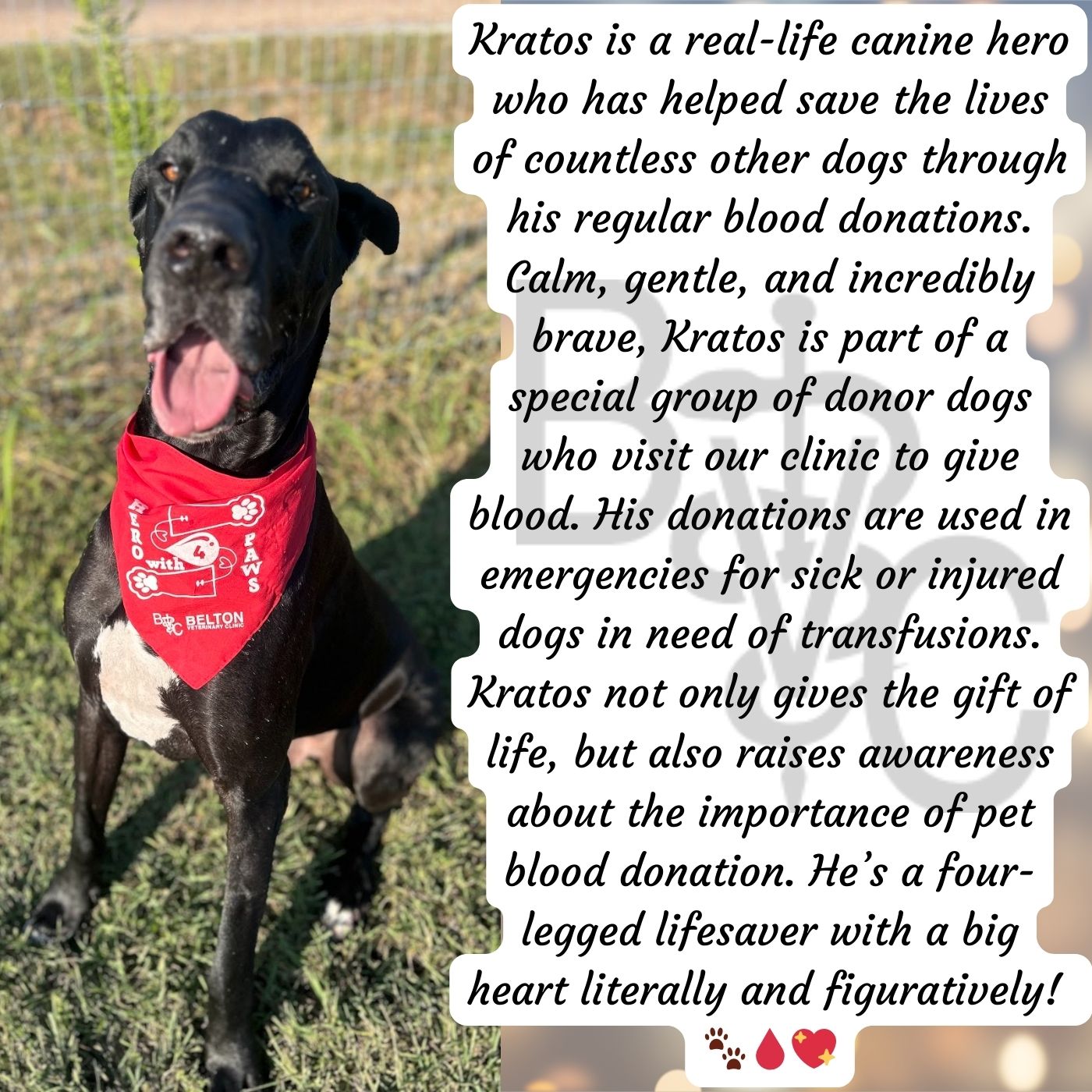 Kratos