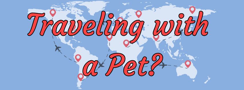 Traveling with  a Pet?