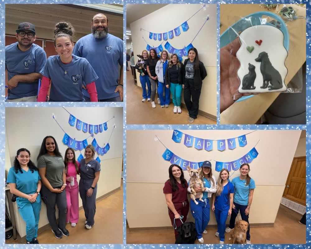 Vet Tech Week