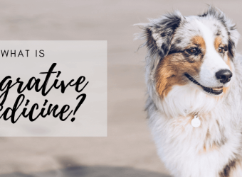 What Is Integrative Medicine?
