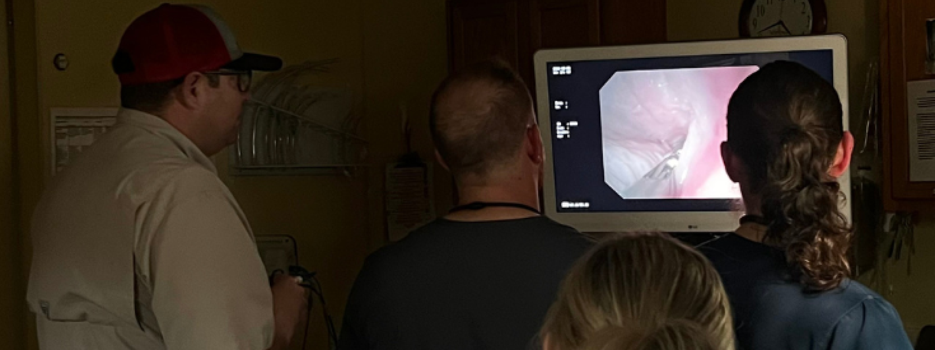 Endoscopy