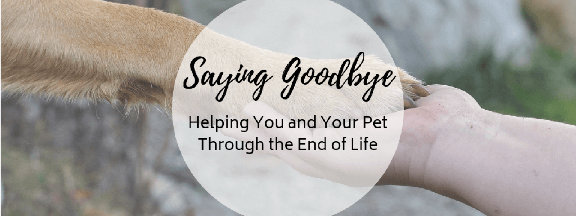 Saying Goodbye: Helping You And Your Pet Through The End Of Life